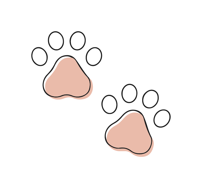 nombre nuestros perritos